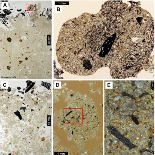 Fig. 1. Thin-sections taken from burnt plots at the Forchtenberg experimental site nearby the plot investigated in this study