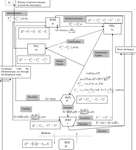 Fig. 2. Schematic representation of the ecosystem model. All the interaction terms are written on the arrows and are described in the Appendix 1