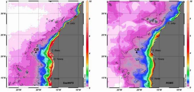 Fig. 7. Annual surface chlorophyll distribution (mg m −3 ) as observed by SeaWiFS (left) and modelled by ROMS (right) for the year 2002.