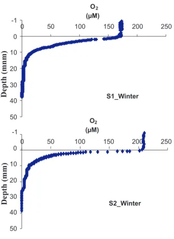 Fig. 4 - Dissolved oxygen profiles in cores collected in winter cruise.