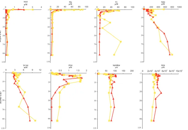 Fig. 5 a - Pore water profiles of nutrients and TCO from cores colletcted in Gulf of Manfredonia in S1 station