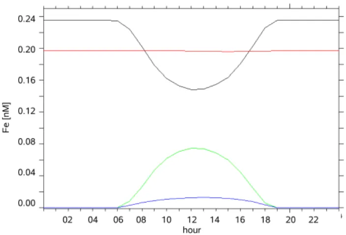 Fig. 2. Diurnal variability of modeled iron concentrations in nM for a typical summer day (02.08.1994), averaged over 40 m depth