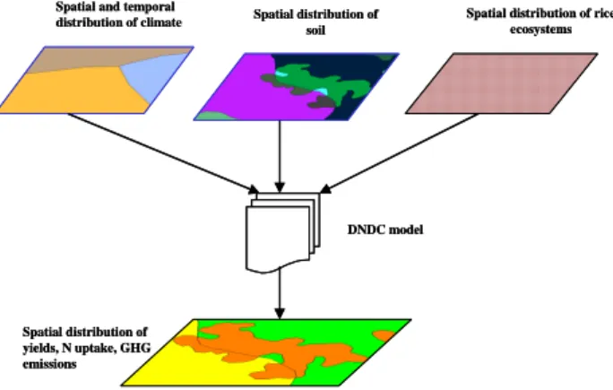 Fig. 1. Approaches for the upscaling of greenhouse gas emission from rice fields in  India using the DNDC model
