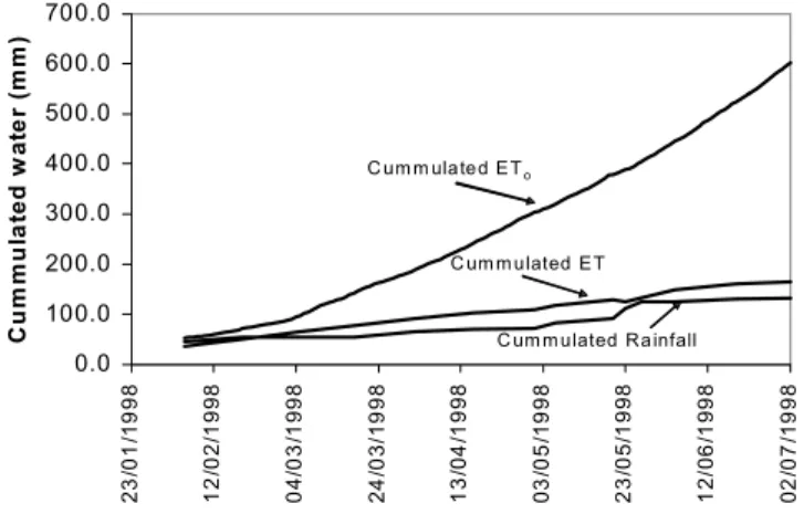 Fig. 7.  Cumulative rainfall, ET o  and average cumulative ET of the Anthyllis and Retama sites.