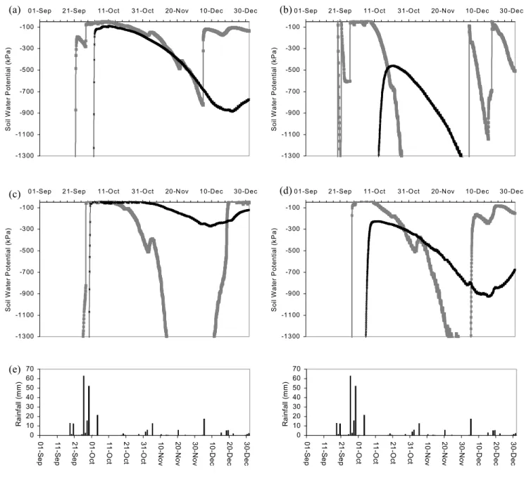 Fig. 4.  Soil water potential at 0.25 m soil depth (grey thick line) and 1 m soil depth (black thin line)