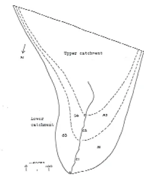 Fig. 1. The East Twin catchment, UK (21 ha), showing the hillslopes segments for the finite element model of the Lower