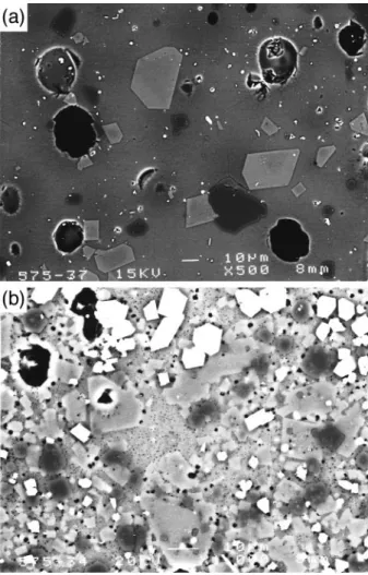 Fig. 1. Scanning electron micrographs of run products. In both pictures