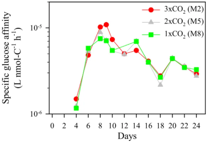Fig. 6. Temporal changes of specific glucose affinity (L nmol-C −1 h −1 ).