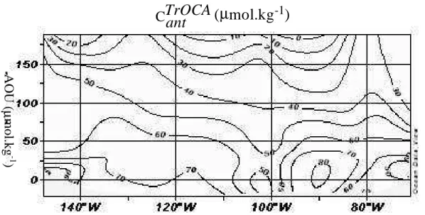 Fig. 4. Section of C TrOCA ant interpolated onto a vertical co-ordinate of AOU.