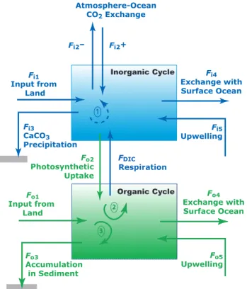 Fig. 3. Simplified two-box model of the coupled organic and in- in-organic carbon cycles in the coastal zone (from Mackenzie et al., 1998)