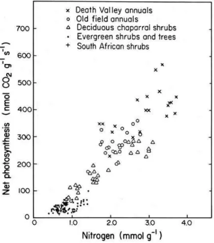 Fig. 4. CO 2 -assimilation of leaves in different vegetation types as related to leaf nitrogen con- con-centration (Field and Mooney, 1986).