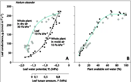 Fig. 6. Leaf conductance as related (A) to leaf water potential and (B) to plant available soil water
