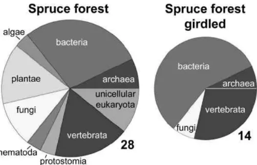 Fig. 11. Comparison of the phylogenetic contribution in protein pools derived from a natural and a girdled spruce forest