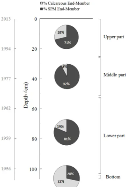 Fig. 4. Contribution of calcareous and SPM  sources to sediment collected in the Louroux core