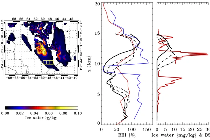 Fig. 6. Left: Ice water content from BOLAM at 12 km height on 24 January 23:00 UTC. Middle: Ice relative humidity from BOLAM averaged at (49 W, 23 S) (black), at (48 W, 23 S) (black dashed), and at (47 W, 23 S) (black dot-dashed), BRAMS (red) and Micro-SDL