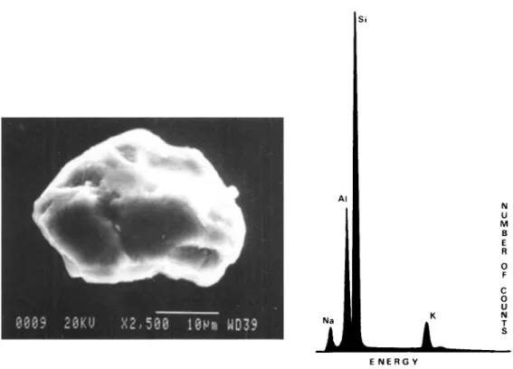 Fig.  5 .   Picture  (scale  bar:  10  pm)  and  X-ray  spectrum  of  a  large  aluminosilicate particle  (scanning  electron  microscopy) from  a  filter collected on  the coast  of  Corsica during an African dust transport event