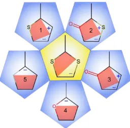 Fig.  4.  Comparison  of  the  experimental  structures  of  six  molecules  shown  in  Fig