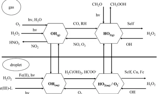 Figure 9 summarizes current knowledge of tropo- tropo-spheric HO x chemistry in clouds