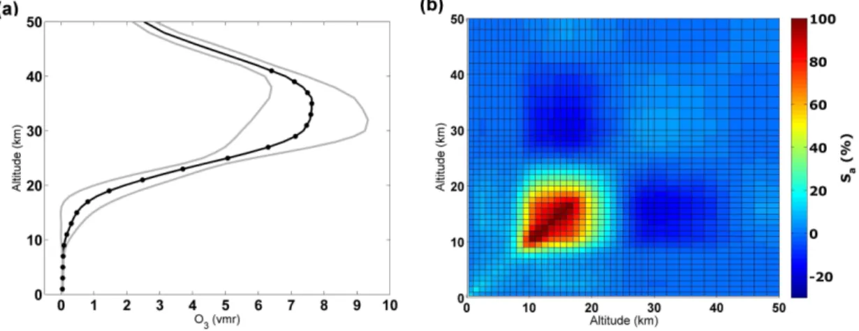 Fig. 4. (a) Global ozone a priori profile (black line) with its variability (grey lines, square root of the diagonal elements of the ozone a priori 1 