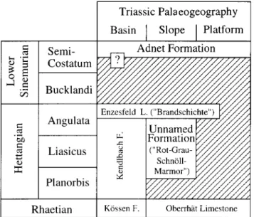 Figure  2.  Lower  Liassic  (Earliest  Jurassic)  stratigraphy  in  the  Adnet  area.  Hachures  indicate  gaps  in  sedimentation