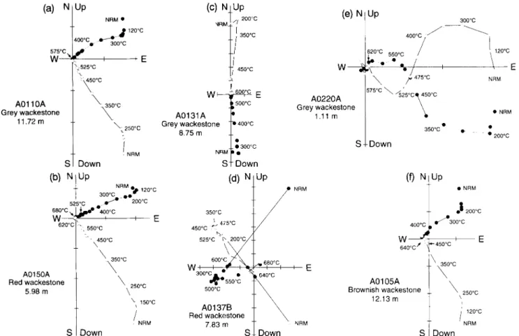 Figure 3.  Examples  of  orthogonal  projections of  the  different  behaviours observed  during the  thermal  demagnetization