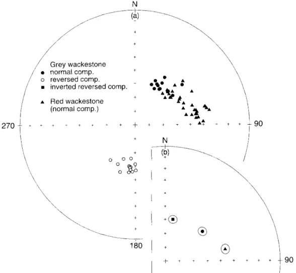 Figure  6.  Normal  and  reversed  polarity  characteristic  directions  observed  within  the  Langmoos  section  before  tilt  correction