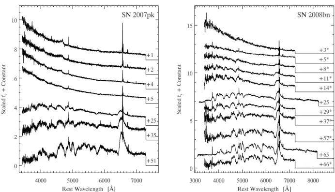 Figure 3. Examples of SN II spectral series from the CfA SN Group. The flux units are f λ (erg s −1 cm −2 ˚ A −1 ) that have been normalized and then additive offsets applied for clarity