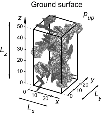 Figure 1. Scheme of the model and of the fracture mesh used for the simulations. The fracture network has a density 