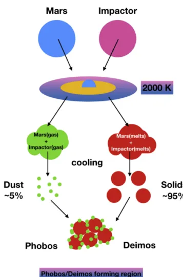 Figure 1. Cartoon describing the considered scenario. After the impact, part of Mars material will be ejected out at high temperature and will vaporize into gas, as well as part of the impactor