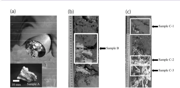 Table 1. Molecular and Isotopic Compositions of Hydrocarbon in Dissociated Gases From Five Hydrate Samples Recovered From Lake Baikal a