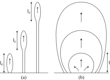 Figure 11. Schematic illustration of the fissure propaga- propaga-tion in the steady state regime in cross secpropaga-tion (a) and in plane (b) views