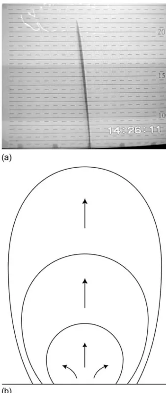 Figure 5. The shape of the fissure in cross section, in experiment 22, after 21 cm of propagation (a)