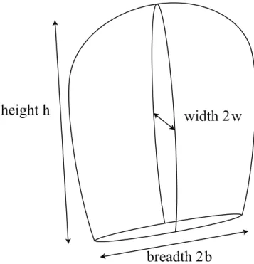 Figure 8. Schematic diagram of a fissure. The fissure has a height h, a breadth 2b, and a thickness 2w such as 2w  2b  h.