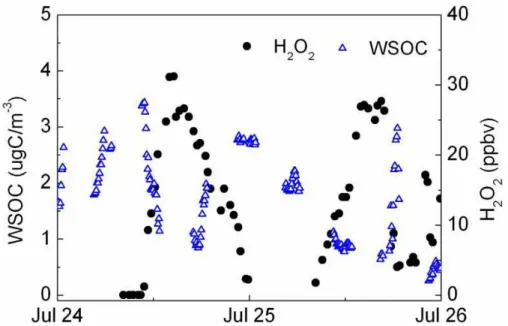 Fig. 8. Diurnal profiles of H 2 O 2 and WSOC measured on 24 and 25 July.