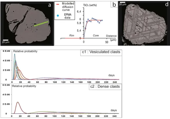 Figure 5.  Magnetite textures at Montagne Pelée and Fe-Ti zoning pattern. Samples are from May, 8 th ,  1902 D-PDC (Montagne Pelée)
