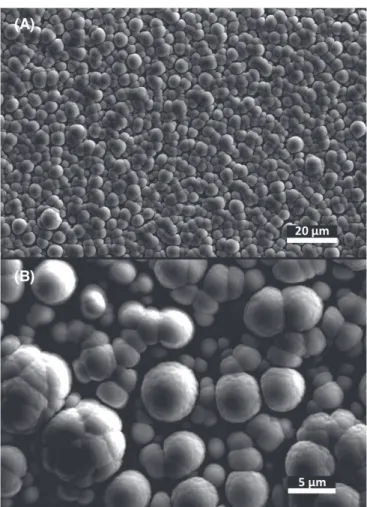 Figure 1. Secondary electron imaging ( 15 kV ) of organic materials produced in the high-vacuum Nebulotron and deposited in situ on a silicon wafer placed at the bottom of the quartz tube reactor ( magni ﬁ cation A: × 900, B: × 3300 ) 