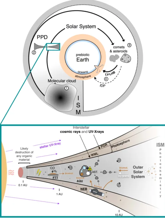 Figure 3. Possible exogenous sources of organic molecules on prebiotic Earth. Interstellar materials are either unprocessed by the PPD phase and directly incorporated into cometary bodies, or processed by the PPD phase and incorporated into comets and aste