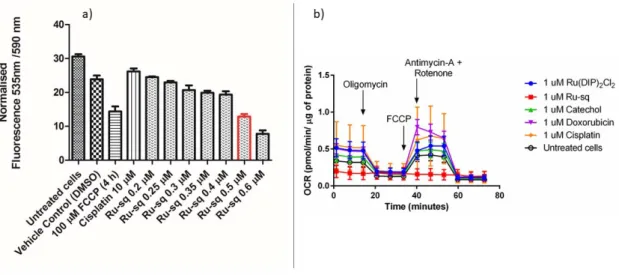 Figure 5. a) Fluorescence signal of JC-1 dye detected in HeLa cells treated for 24 h  with different concentrations of Ru-sq (from 0.2 µM to 0.6 µM)