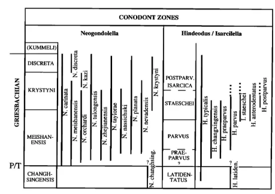Figure 3.  Upper Permian-Lower  Triassic  biochronology.  (a) Lower Triassic  conodont  zonation  considered  in  this study [Orchard  and Krystyn, 1998]