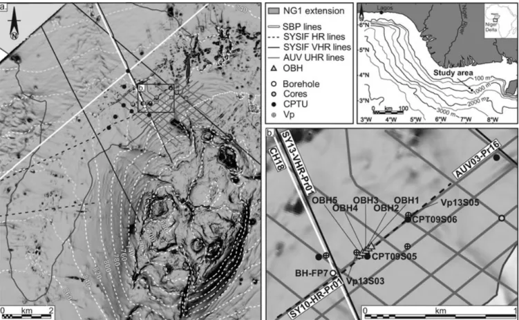 Figure 1. (a) Seabed dip map showing in grey the areal extension of the distal part of NG1