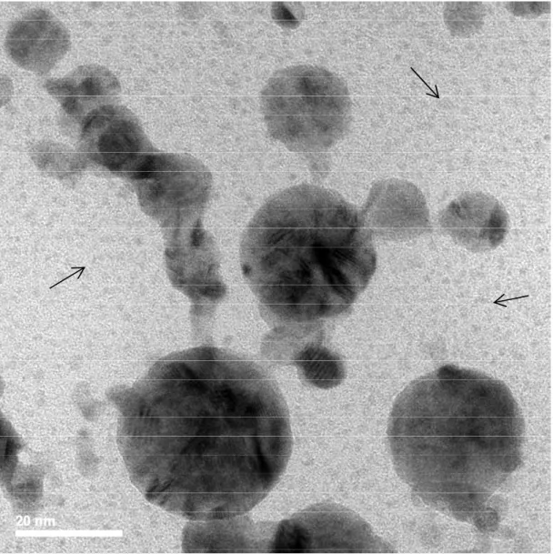 Fig. S7. TEM image showing regions on the grid where atom clusters are observed, marked by  black arrows (2 mins irradiated)