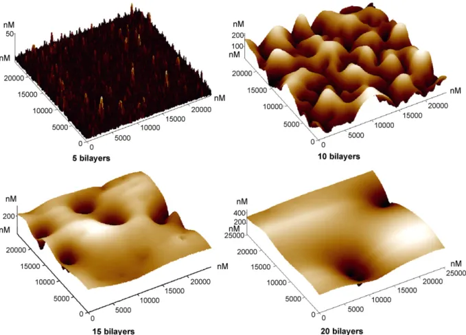 Fig. 5. Evolution of the surface morphology (AFM images) in function of the number of deposited bilayers.