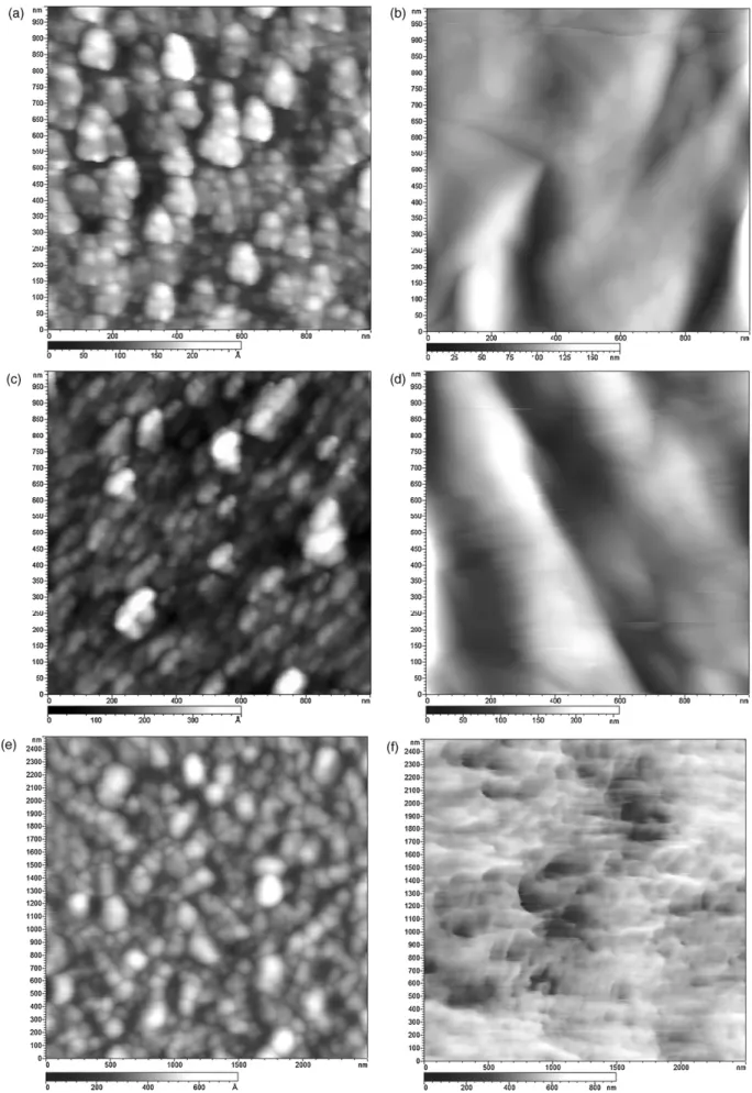 Fig. 2. AFM topography (tapping mode) images of (a) the bare smooth Pt electrode, (b) PG electropolymerization on Pt, (c) PEI electropolymerization on Pt, (d) PANI electropolymerization on Pt, (e) the Ag reference electrode and (f) after FeCl 3 treatment.