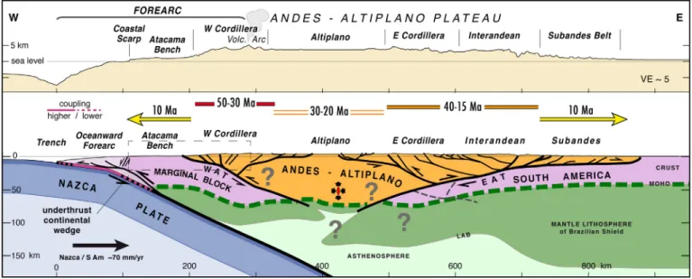Fig. 15. Evolution of Andean orogeny (from 50 Ma to present). The growth process of the Central Andes is schematically represented for a section at 21°S, across the southern limb of the Andean orogen, as Fig