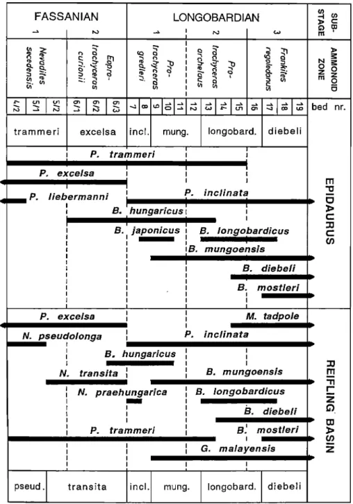 Figure  1.  Ladinian biochronology  used in  this study. 