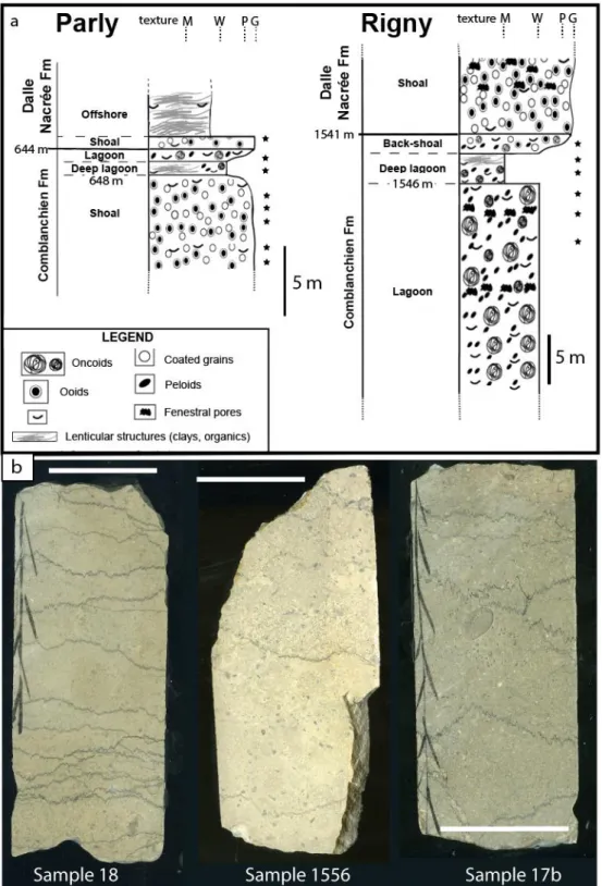 Figure 3 - a) Simplified stratigraphic columns for the Rigny and Parly core sections investigated, with 785 