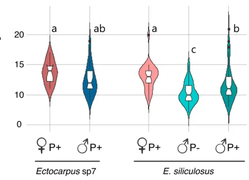 Fig.  4.  Number  of  mitochondria  in  gametes  of  different  Ectocarpus  strains.  Letters  indicate  significant  621 