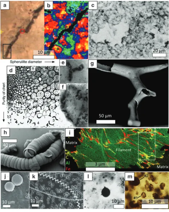 FIG. 1. Diversity of abiogenic microfossil-like objects. (a, b) Orientation of quartz crystals around a microstructure from the 3.46 Apex chert imaged by Raman mapping and indicating that this structure was formed by cracks in the mineral lattice after rec