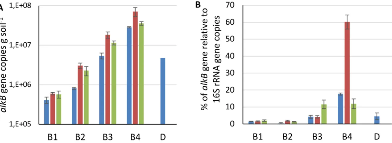 Figure 4. A) AlkB genes copy number during the treatments; B) Percentage alkB genes relative to  356 