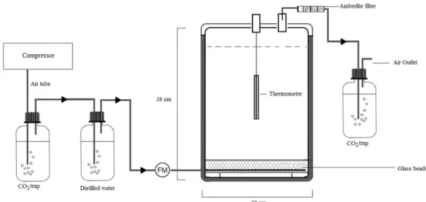 Figure  1.  Scheme  of  bioreactor  set  up  used  in  the  study.  FM:  flow  meter.  Arrows  indicates  the  110 